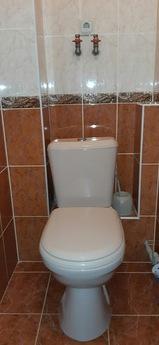 1 bedroom apartment on the central Mytni, Cherkasy - apartment by the day