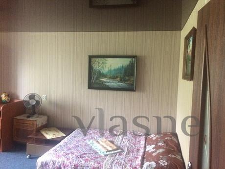 Double room apartment, Uzhhorod - apartment by the day