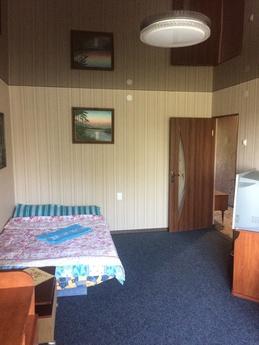 Double room apartment, Uzhhorod - apartment by the day