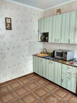 Spacious apartment near the metro, Kyiv - apartment by the day