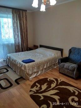 Spacious apartment near the metro, Kyiv - apartment by the day