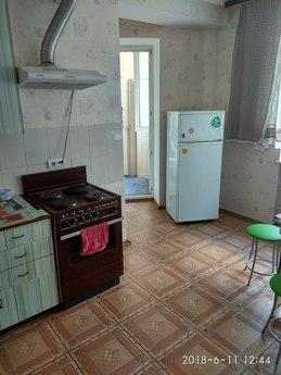 Spacious apartment near the metro, Kyiv - apartment by the day