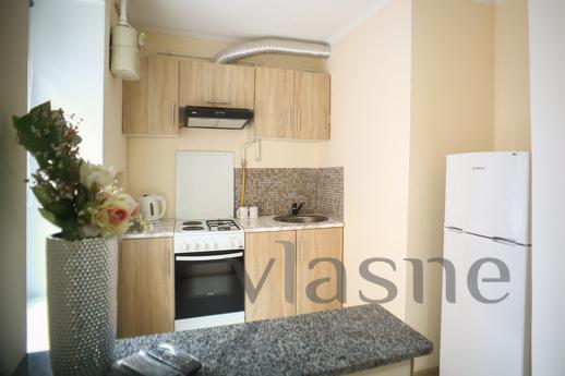 Apartment bіlya High Castle., Lviv - apartment by the day