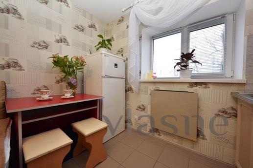 Apartment Borispod 10min to the airport, Boryspil - apartment by the day