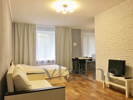 Cozy apartment in which there is everything necessary for co