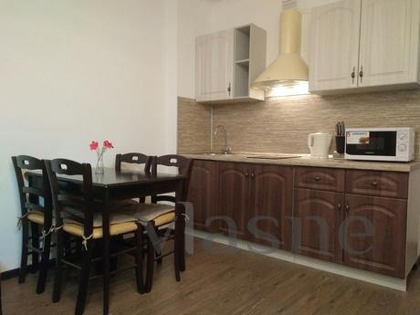 Apartment near metro station, Saint Petersburg - apartment by the day