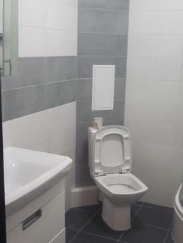 I'm building an apartment, Ivano-Frankivsk - apartment by the day