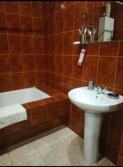 Two bedroom apartment, Kyiv - apartment by the day