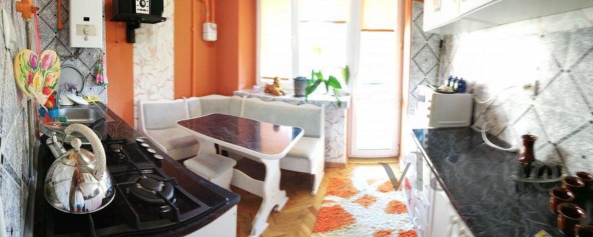 2 bedroom apartment for rent, Berehove, Berehovo - apartment by the day