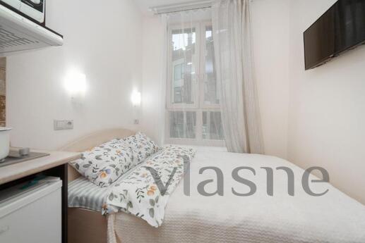 A cozy studio apartment is for rent in the Nevsky residentia