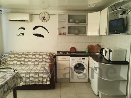 Comfortable apartment by the sea, Luzano, Odessa - apartment by the day
