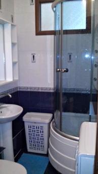 1 bedroom apartment in the center of Nov, Novosibirsk - apartment by the day