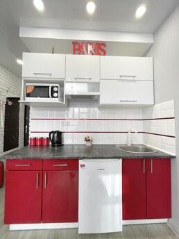 By the day! Studio apartment 'PARIS 2', Irpin - apartment by the day