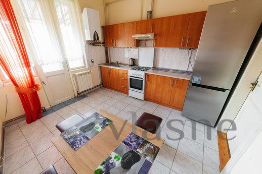 One bedroom apartment on Theater Square, Uzhhorod - apartment by the day