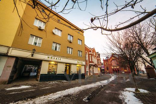 One bedroom apartment on Theater Square, Uzhhorod - apartment by the day