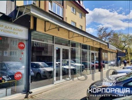 Квартира подобово, Ужгород - квартира посуточно