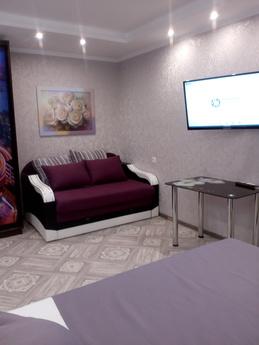 Cozy apartment near metro Botanichesky, Kharkiv - apartment by the day