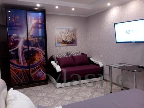 Cozy apartment near metro Botanichesky, Kharkiv - apartment by the day