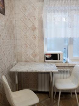 Cozy apartment near metro Botanichesky, Kharkiv - apartment by the day