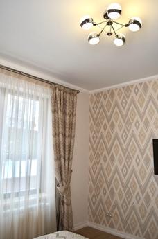 Designer renovated apartment 2, Uzhhorod - apartment by the day