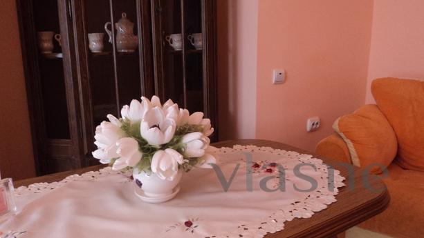 VIP apartment. Old historic center, Uzhhorod - apartment by the day