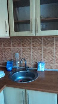 cozy apartment in Uzhgorod, Uzhhorod - apartment by the day