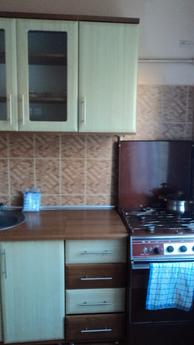 cozy apartment in Uzhgorod, Uzhhorod - apartment by the day