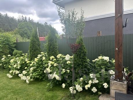 House near Kiev for short term rent, Ran, Makariv - apartment by the day
