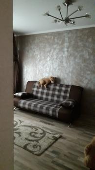 I rent out my apartments in Nikolaev. The apartment has good