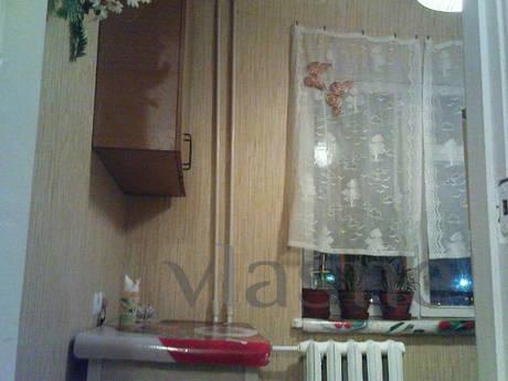 Apartment for rent (daily or hourly), Kyiv - apartment by the day