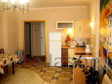 Studio apartment m. Vasilkovskaya, Kyiv - apartment by the day