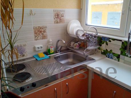 Quiet apartment bіlya metro Vasilkivsk, Kyiv - apartment by the day