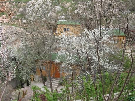 The comfortable cabins for a family, Balaclava - apartment by the day