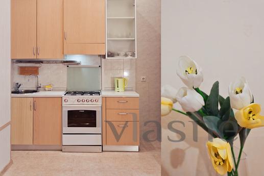 Rent an apartment in the center, Kyiv - apartment by the day