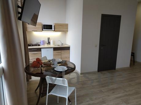 Stylish studio apartment for rent in the, Kharkiv - apartment by the day