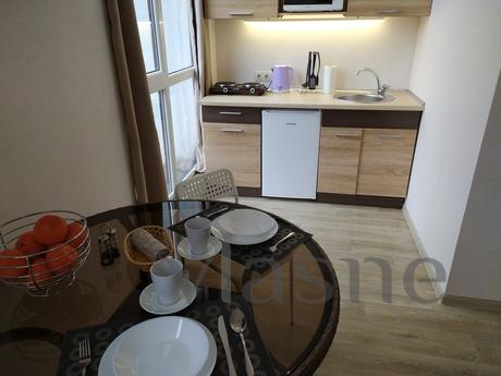 Stylish studio apartment for rent in the, Kharkiv - apartment by the day