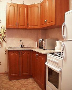 5 min.by step from metro Shchelkovskaya., Moscow - apartment by the day