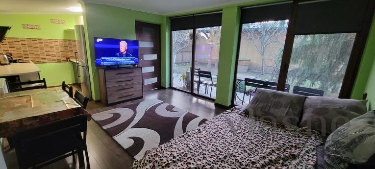Cozy house in the city center near Sbass, Berehovo - apartment by the day