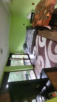 Cozy house in the city center near Sbass, Berehovo - apartment by the day