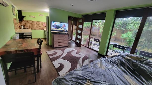 Cozy house in the city center near Sbass, Berehovo - apartment by the day