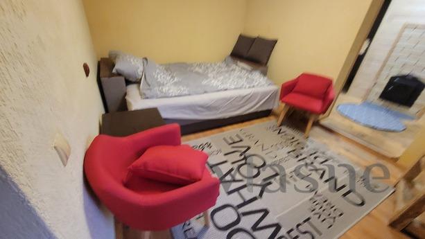 Cozy house in the city center near Sbass, Berehovo - apartment by the day