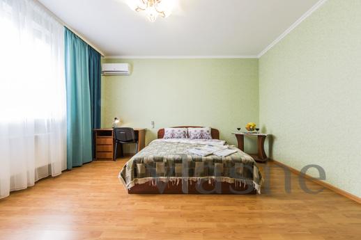 1-room apartment near the high-speed tra, Kyiv - apartment by the day