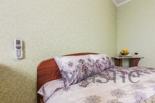 1-room apartment near the high-speed tra, Kyiv - apartment by the day