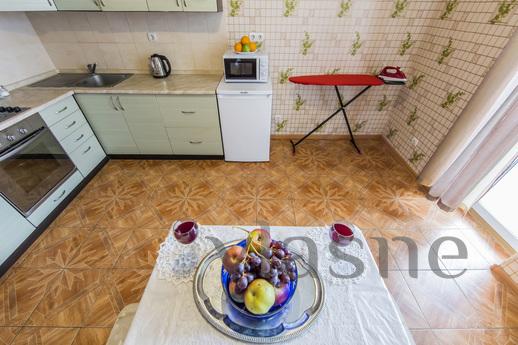 1-room apartment near the high-speed tra, Kyiv - apartment by the day