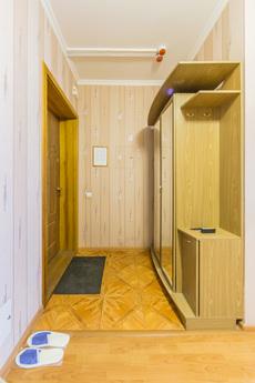 1-room apartment near the high-speed tra, Kyiv - apartment by the day