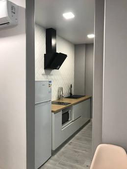 Zhuravli Newbuilding Metro Heroes of Lab, Kharkiv - apartment by the day