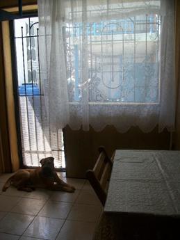 Rent daily Kuren (house). Chernomorsk, Chernomorsk (Illichivsk) - apartment by the day