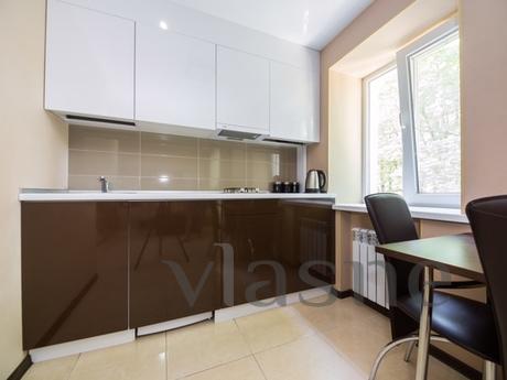 New renovated studio in the center, Kharkiv - apartment by the day