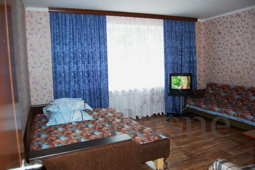 Apartment with excellent repair, furniture (two sofas, two a