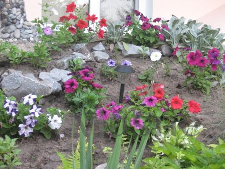 Podobova rent an ekobudinka in Mirgorod, Mirgorod - apartment by the day